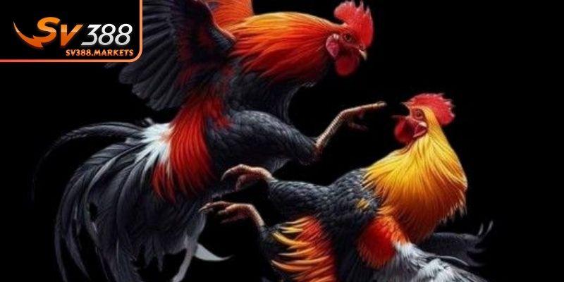 Những thuật ngữ quan trọng để tránh bỡ ngỡ khi soi kèo
