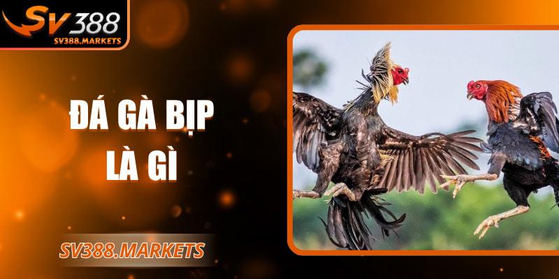 Đá gà bịp là gì?