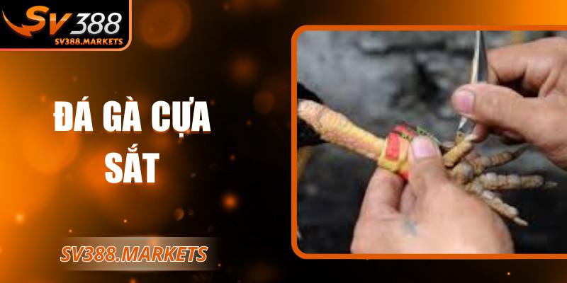 Đá gà cựa sắt