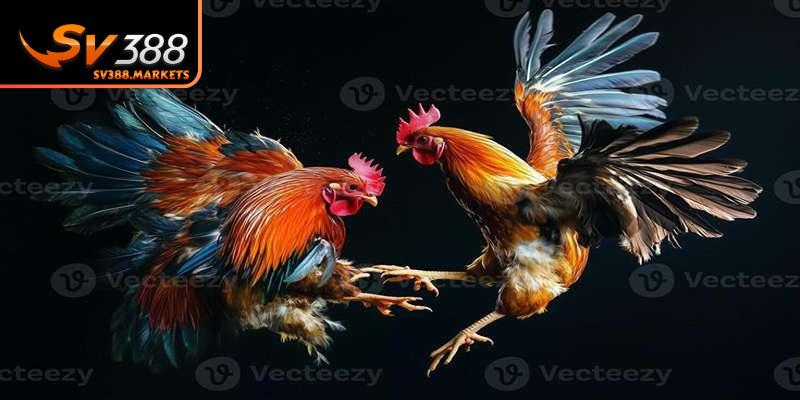 Nên hiểu rõ quy tắc để tuân thủ