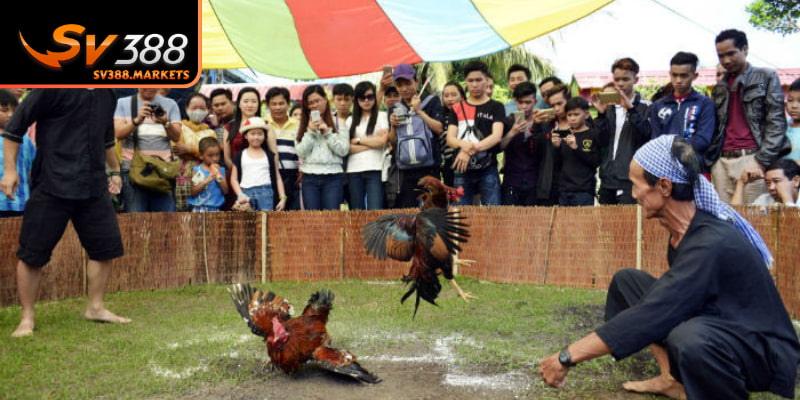 Không khí lễ hội tạo cảm xúc vui vẻ