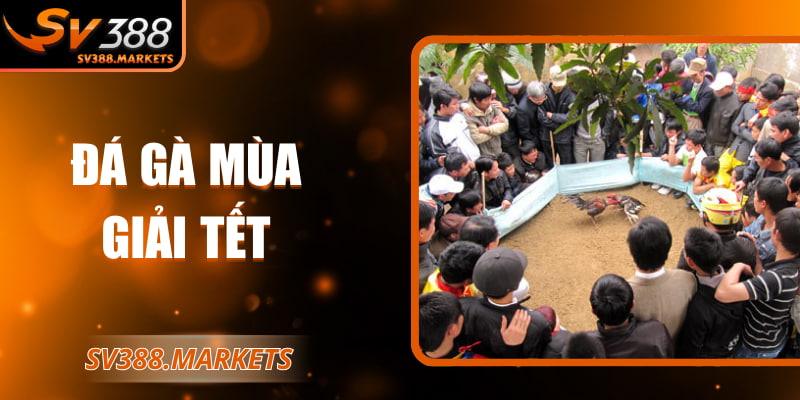 Đá gà mùa giải Tết