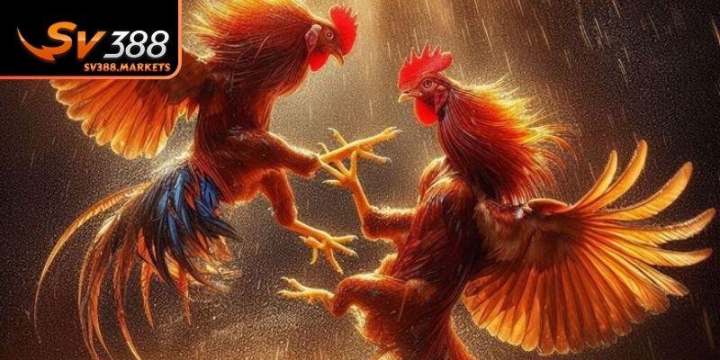 Nguyên tắc xác định thắng thua